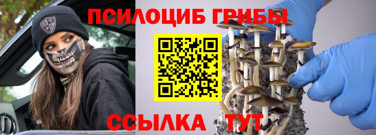 Кувандык  Галлюциногенные грибы мицелий  Вход с VPN 